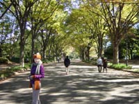 komazawapark_thumb.jpg
